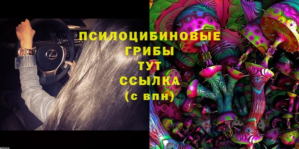бошки Беломорск